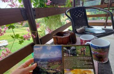 Apartman Skender 3* Ravna Gora - Foto 61