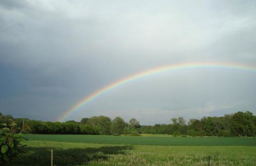 Ferienwohnung Zum alten Zollhaus - Foto 23