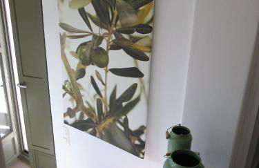 Villa Handras-Ulivo & Mandorlo, by Amorgos Holiday Homes - Foto 8