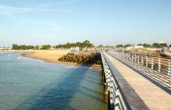 Family cocoon by the sea - Photo 18