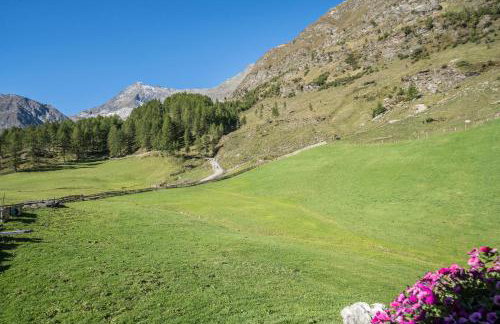 Fewo Sonnenuntergang - Zeppichl - Photo 13