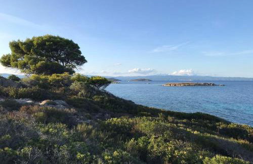 Makis Nest Apart-Hotel - Foto 72