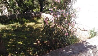 Apartman Mimi - Foto 2
