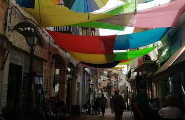 Olive Garden Studio - Foto 39