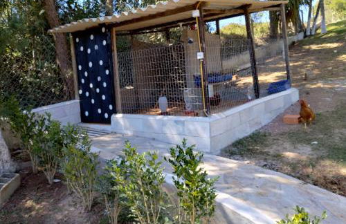 Biju's Little Farm - Foto 26