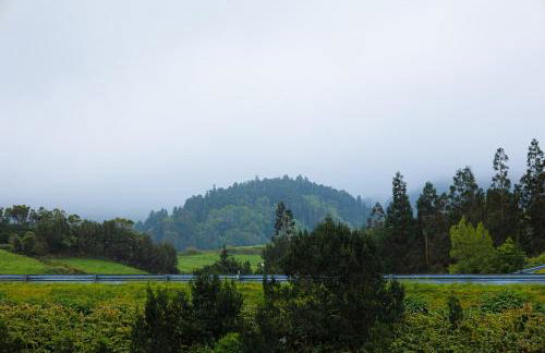 Casa da Alexandrina - Photo 42