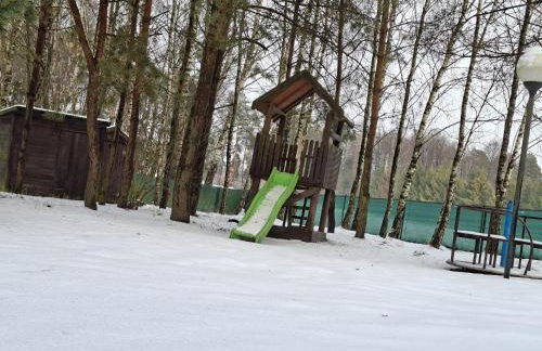 Leśny Zakątek Lipinki Bory Tucholskie - sauna - Foto 43