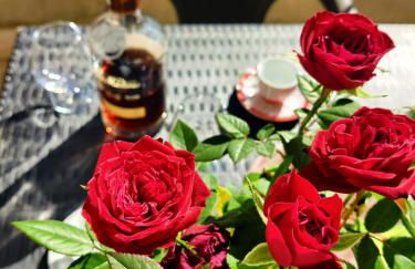 Casa D'Ambra - Photo 3