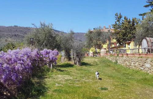 Appartamento La Tavernetta - Foto 19