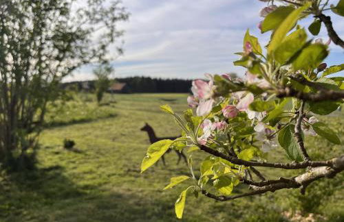 Ferienwohnung Kleines Paradies mit privater Sauna - Foto 30
