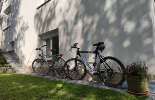 Agroturystyka Wiąz - Wypoczynek blisko z przyrodą i zwierzetami - Foto 13