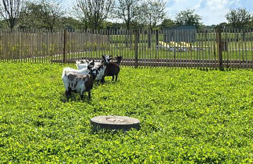 Gîte L Olivier confort, détente avec jacuzzi à 4km de la plage- Cap Fréhel - Foto 23
