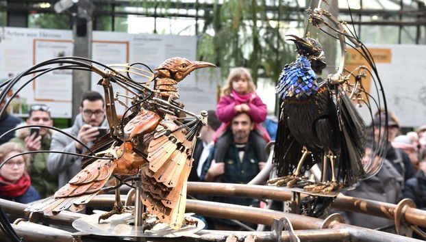 Aigles mécaniques à Nantes