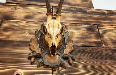 Agro Bieszczady Sleep Tourism - Foto 42