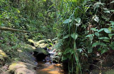 Sítio Refúgio e Paz - Churrasqueira, piscina, playground e quadra de areia para futevôlei e Beach tênis - Foto 17