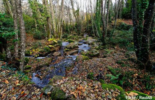 Alojamiento Turístico La alegría de la huerta - Foto 47