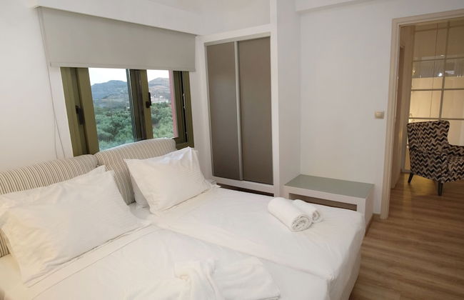 Terra Divina - Foto 19