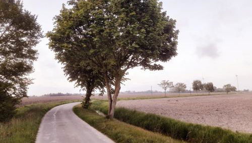 Übernachtung im Bauwagen an der Nordseeküste - Foto 4