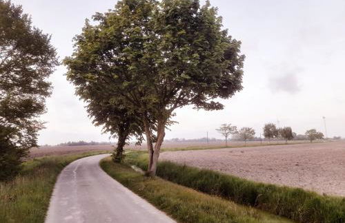 Übernachtung im Bauwagen an der Nordseeküste - Photo 4