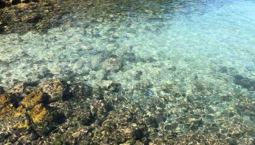 Splendide Villa les pieds dans l'eau dans la baie de Mahon - Foto 4