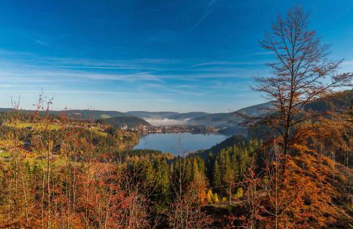 Fewo Schwarzwaldstern 2, Todtnau, 4 Schlafzimmer - Foto 22