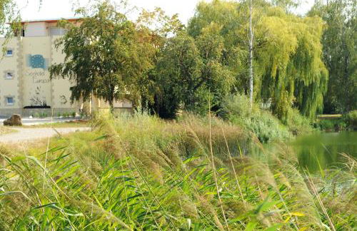 Seehotel Europa - Foto 8