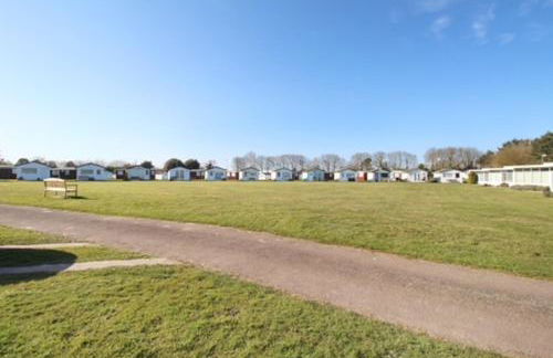 The Bee's Knees - Foto 12