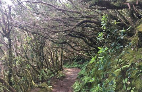 Penthouse Lomo Alto - Foto 53