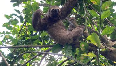 Sitio ecológico para eventos - Photo 2