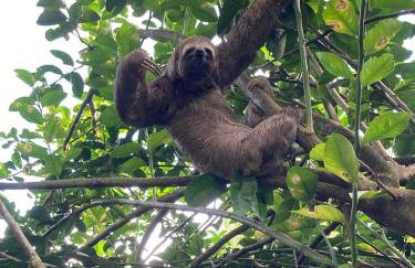 Sitio ecológico para eventos - Photo 2