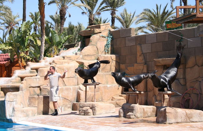 Apartamento Sergio - Foto 16