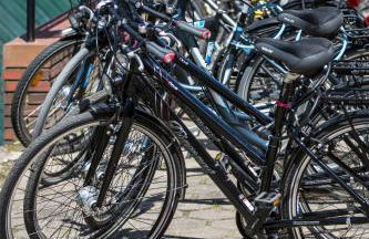 Ferienhof Heins - Foto 41