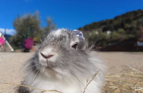 Agriturismo Monaci Templari - Foto 112