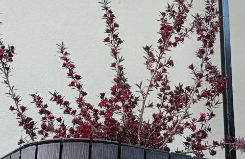 Casa Rural El Cantón - Foto 19