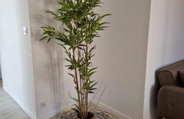 Le Bois d'Ebène - Foto 13