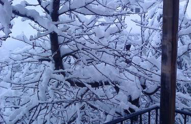 Ginî Viñis - Foto 34