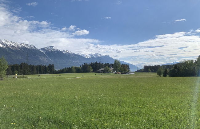 Waldchalet am Eichhof - Foto 14