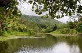 Lar do sertão- flat dentro do Hotel Fazenda Pedra do Rodeadouro - Photo 26