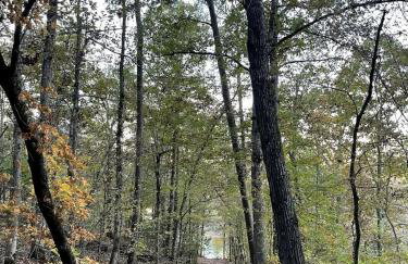 Secluded Riverfront Cabin with Bluff Views, Gated Privacy & Scenic Trail Access in Tahlequah, Oklahoma - Foto 79