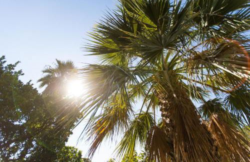 Résidence Stella di Mare - Foto 4