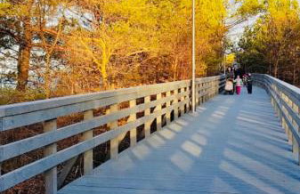 Aquamarina Onyx Blue - Foto 48