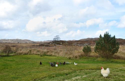 Riverview Cottage - Photo 10