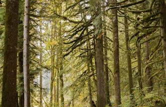 The Lodge at Highland Farms - Foto 19