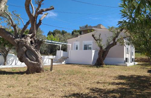 Skala Central House - Foto 18