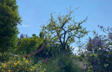 Turra Nature House - Foto 19