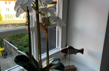 MARKINA - Ferienwohnung - Kiliani I - Foto 56