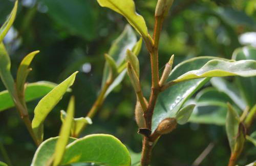 Home Near the Clouds - Refúgio - Photo 28