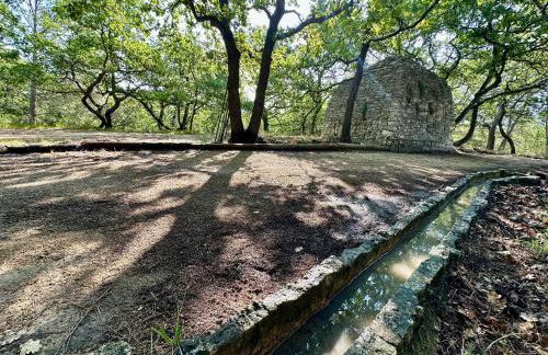 Borie en Provence - Foto 30