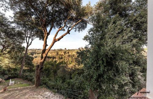 Partino ArtHouse - Foto 21