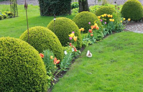 Gartentraum - Foto 36